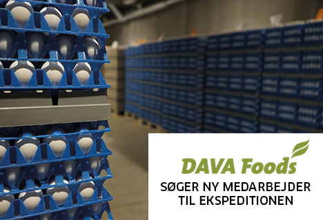 DAVA Foods søger: Medarbejder til ekspeditionen