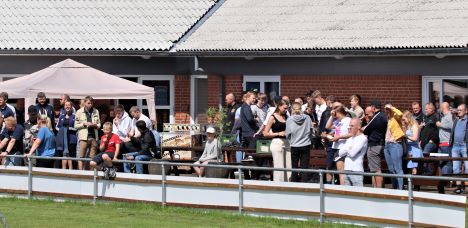 AUDI Match Day blev et brag af en eftermiddag