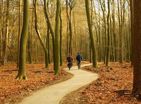 Skal Rebild Kommune søge puljemidler til nye cykelstier – og hvilke