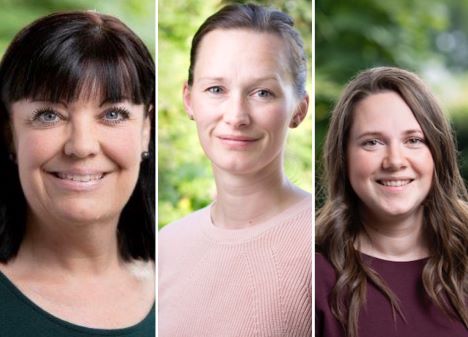 En god start på familielivet – barnet i fokus