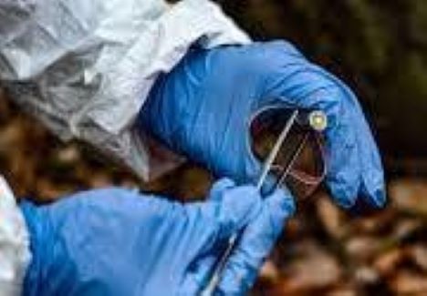 Slægtsforskning kan blive nyt efterforskningsmiddel i politiet