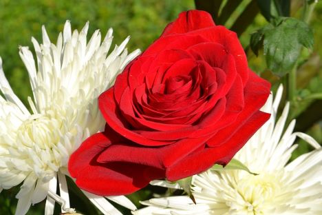 Dødsfald i Terndrup