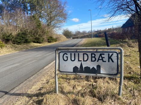Godkendelse af nyt vejnavn for boligområde ved Guldbækvej