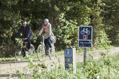 Fremskridt og lokalt engagement i udviklingen af Hærvejen