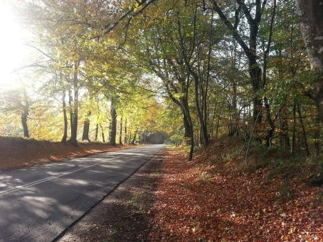 Haverslev-Ravnkilde Lokalråd afholder årsmøde