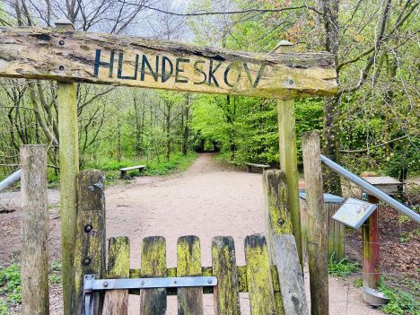 Kender du Hundeskoven i Nørager