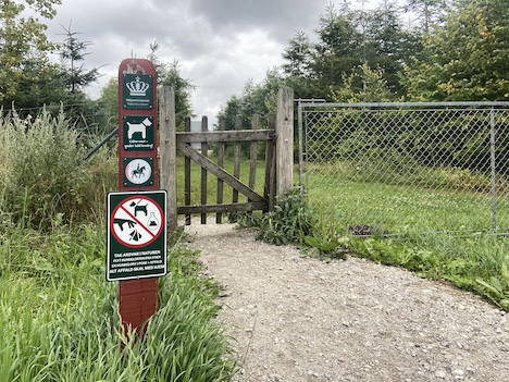 Kender du Hundeskoven ved Juelstrup sø ved Støvring