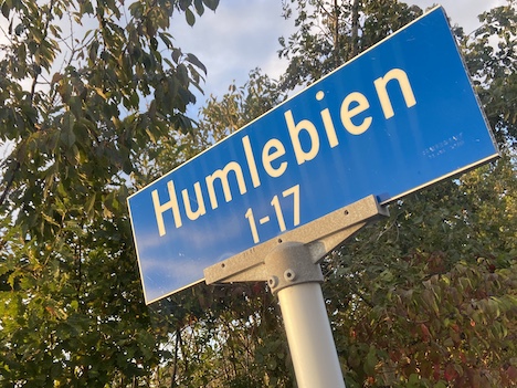 Jeannette Sagan og Det Konservative i Rebild ønsker etape 2 af boligområdet Humlebien i Suldrup