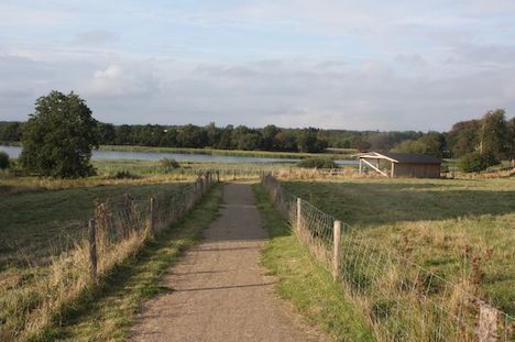 Landsdækkende event den 1. maj ved Suldrup Sø og Nerup Kirkesti