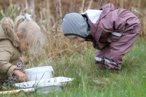 Børn i Børnehaven Tumlehøj i Suldrup går i forskernes fodspor
