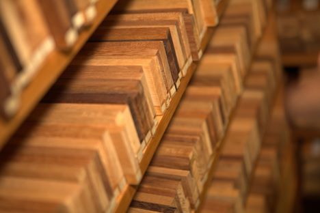 Dansk trævirksomhed samler internationale aktører for at fremme mere ansvarlig udvikling i regnskoven