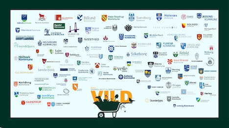 Kommuner klar med vilde idéer for dansk natur