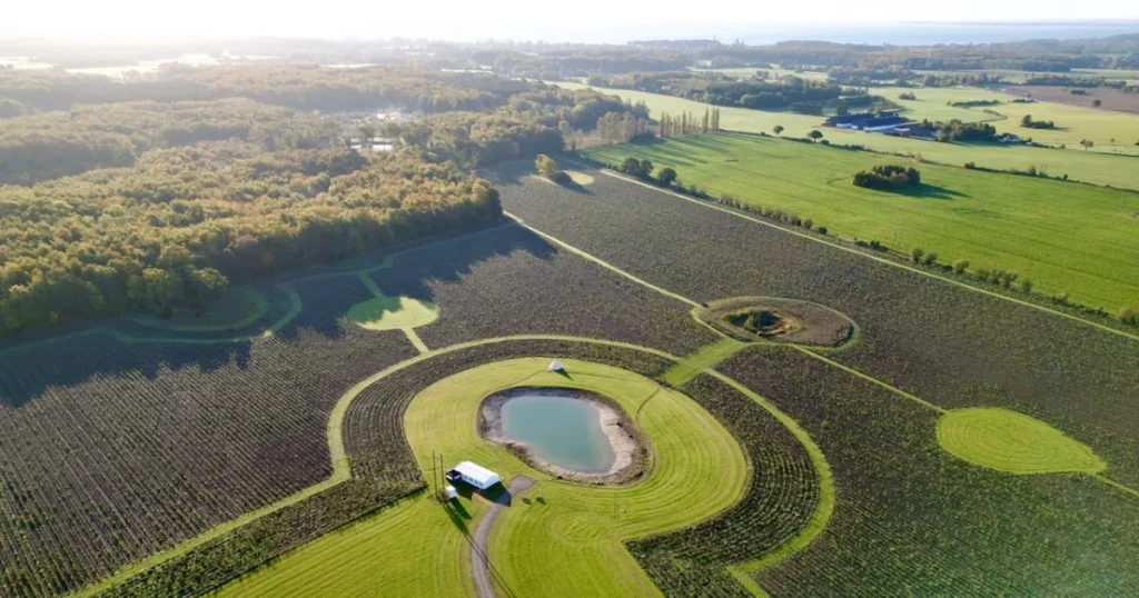 Ægtepar har rejst 20 hektar klimaskov og deler nu deres erfaringer med andre jordejere