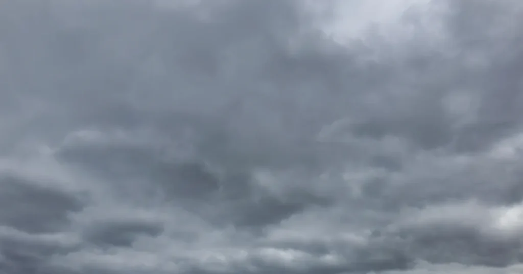 Dagens vejr: Mandagen bliver skyet, men tørt