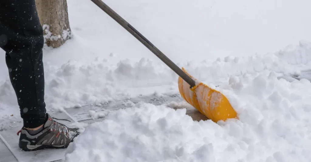 Drop vejsaltet: Svanemærkede tømidler skal skåne naturen og hundepoter